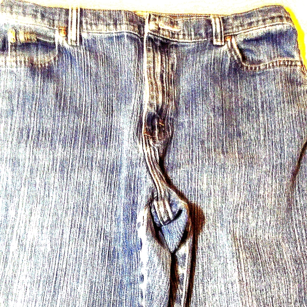 Lee National Denim Day Jeans
